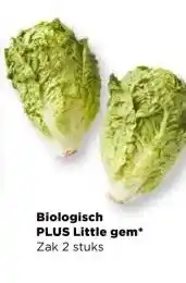 PLUS Biologisch PLUS Little gem aanbieding