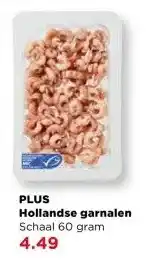 PLUS PLUS Hollandse garnalen aanbieding