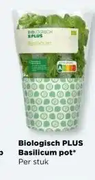 PLUS Biologisch PLUS Basilicum pot aanbieding