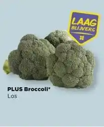 PLUS PLUS Broccoli aanbieding