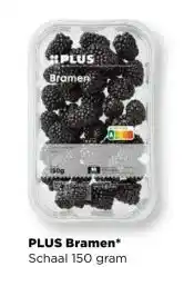 PLUS PLUS Bramen aanbieding