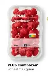 PLUS PLUS Frambozen aanbieding