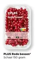 PLUS PLUS Rode bessen aanbieding