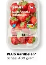 PLUS PLUS Aardbeien aanbieding