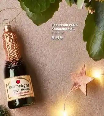 PLUS Feestelijk PLUS Kalanchoë XL aanbieding