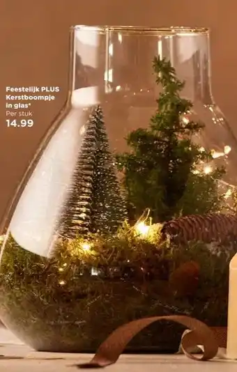 PLUS Feestelijk PLUS Kerstboompje in glas aanbieding