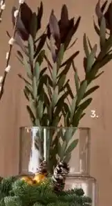 PLUS Feestelijk PLUS Kersttakken aanbieding