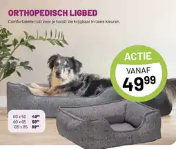 Pets & Co ORTHOPEDISCH LIGBED aanbieding