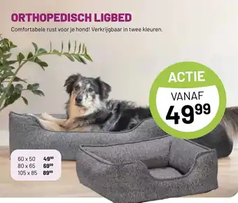 Pets & Co ORTHOPEDISCH LIGBED aanbieding