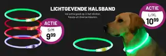 Pets & Co LICHTGEVENDE HALSBAND aanbieding