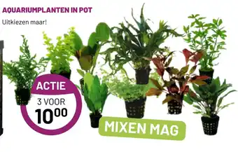 Pets & Co AQUARIUMPLANTEN IN POT aanbieding