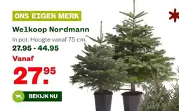 Welkoop Welkoop Nordmann aanbieding