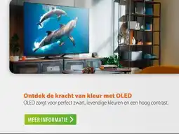 Expert Ontdek de kracht van kleur met aanbieding