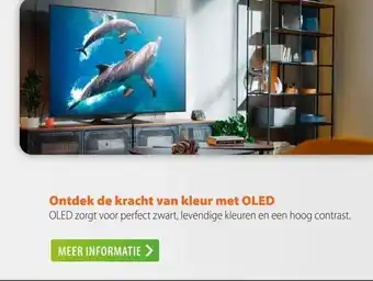 Expert Ontdek de kracht van kleur met aanbieding