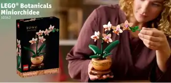 Kruidvat LEGO Botanicals Miniorchidee aanbieding
