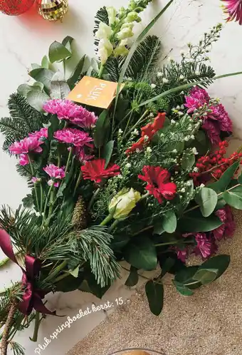 Jumbo Pluk springboeket kerst aanbieding