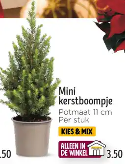 Jumbo Mini kerstboompje aanbieding