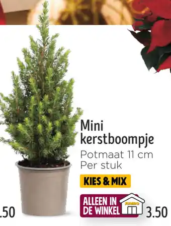 Jumbo Mini kerstboompje aanbieding