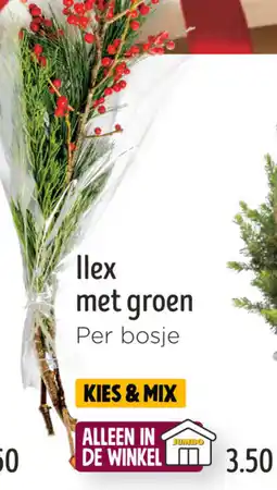 Jumbo llex met groen aanbieding