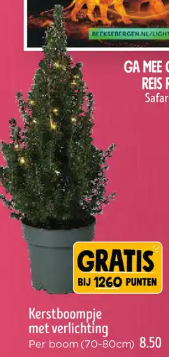 Jumbo Kerstboompje met verlichting aanbieding