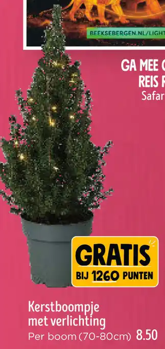 Jumbo Kerstboompje met verlichting aanbieding