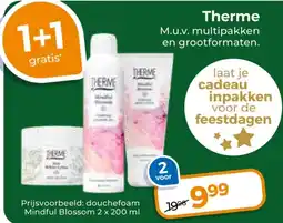 Trekpleister Therme aanbieding