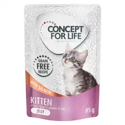 Zooplus Concept for Life Kitten zalm graanvrij - in gelei Kattenvoer - 12 x 85 g aanbieding