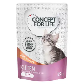 Zooplus Concept for Life Kitten zalm graanvrij - in gelei Kattenvoer - 12 x 85 g aanbieding