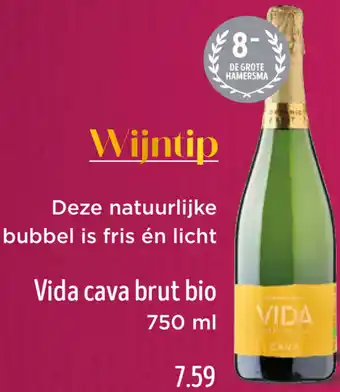Jumbo Vida cava brut bio aanbieding