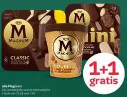 Spar Alle Magnum aanbieding