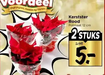 Vomar Voordeelmarkt Kerstster Rood aanbieding