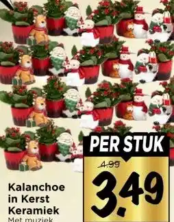 Vomar Voordeelmarkt Kalanchoe in Kerst Keramiek aanbieding