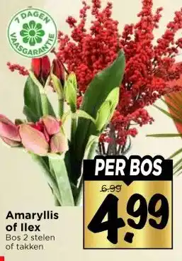 Vomar Voordeelmarkt Amaryllis of Ilex aanbieding