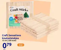 Action Craft Sensations knutselstokjes aanbieding