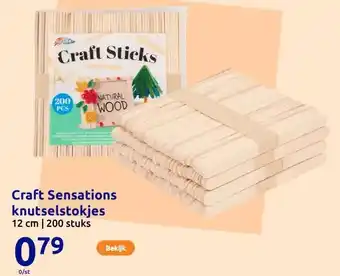 Action Craft Sensations knutselstokjes aanbieding