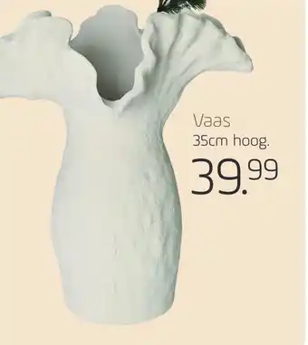 Coppelmans Vaas 35cm hoog. aanbieding