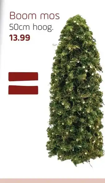 Coppelmans Boom mos 50cm hoog. aanbieding