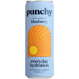 Albert Heijn Punchy Everyday hydration blueberry aanbieding