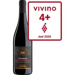 Albert Heijn Terre di Verona Amarone aanbieding