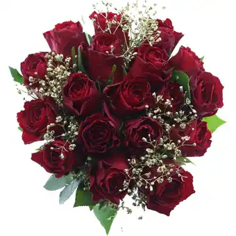 Albert Heijn AH Feestrozen met gips aanbieding