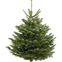 Albert Heijn AH Nordmann gezaagd aanbieding