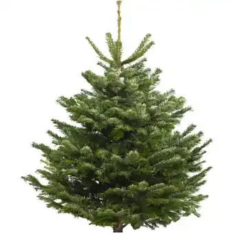 Albert Heijn AH Nordmann gezaagd aanbieding