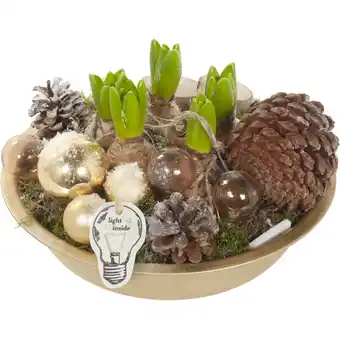 Albert Heijn AH Kerstarr. zinken schaal aanbieding