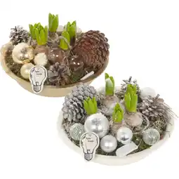 Albert Heijn AH Kerstarrangement in schaal aanbieding