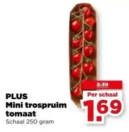PLUS PLUS Mini trospruim tomaat aanbieding