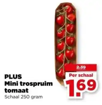 PLUS PLUS Mini trospruim tomaat aanbieding