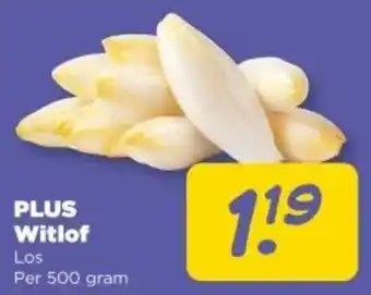 PLUS PLUS Witlof aanbieding