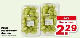 PLUS PLUS Pitloze witte druiven aanbieding