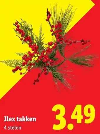 Lidl Ilex takken aanbieding