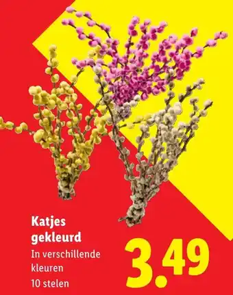 Lidl Katjes Gekleurd aanbieding